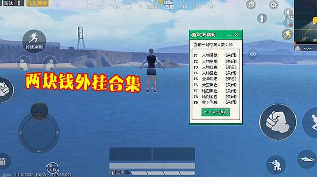 和平精英《北极熊》辅助